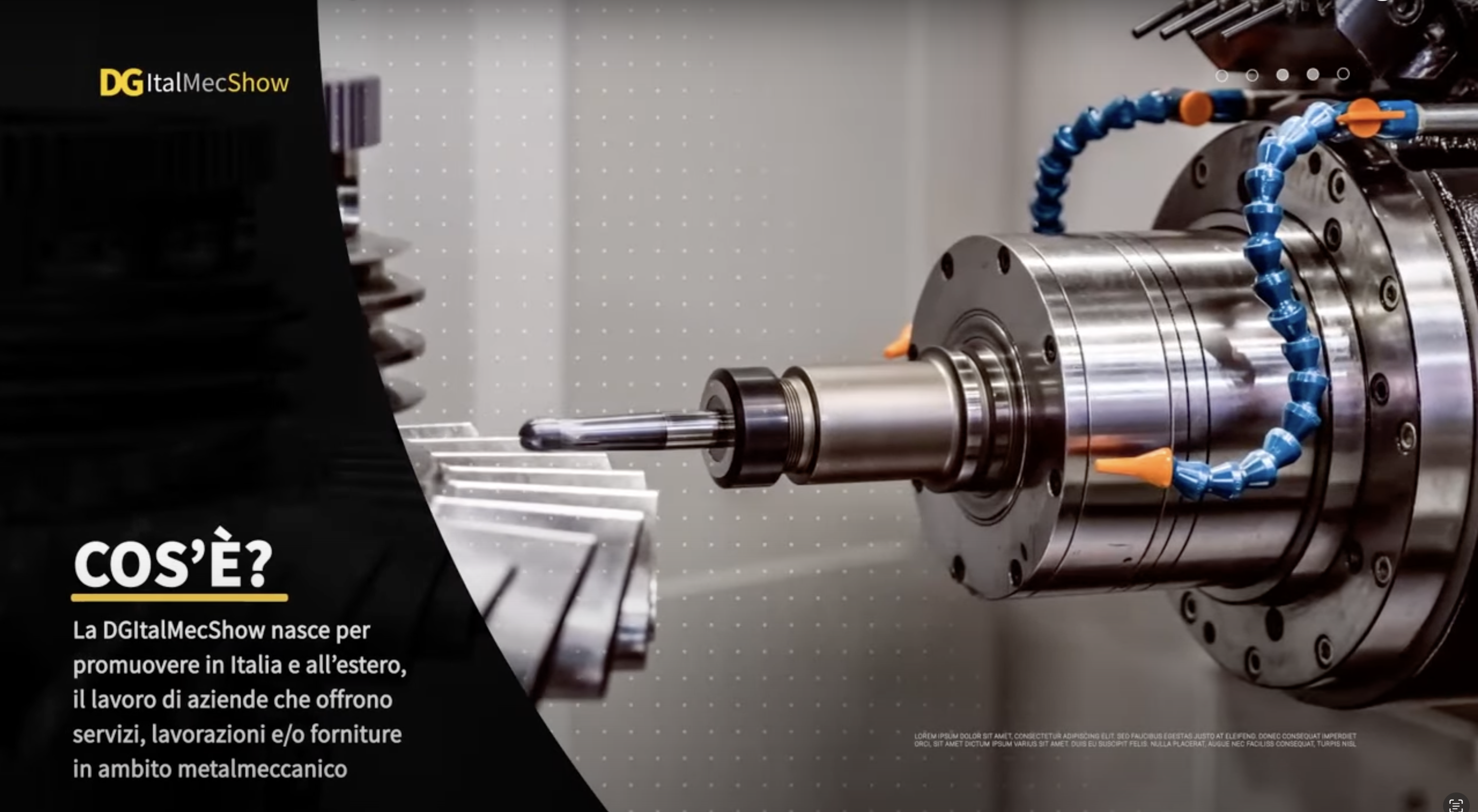 Screenshot 2024-08-14 at 20.42.58